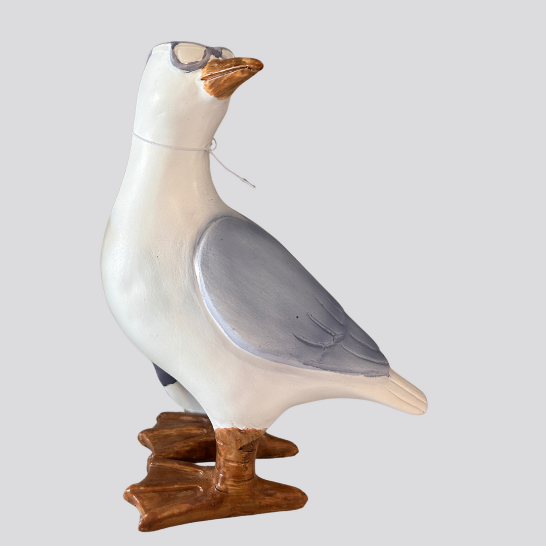 Sun Loving Seagull