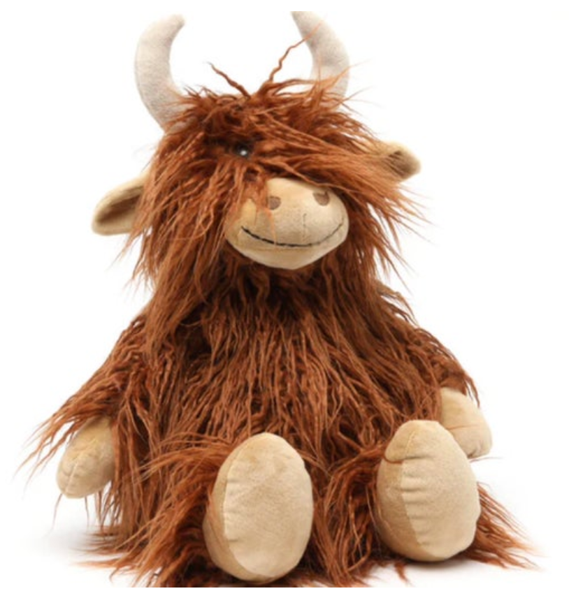 Henry the Highland Cow